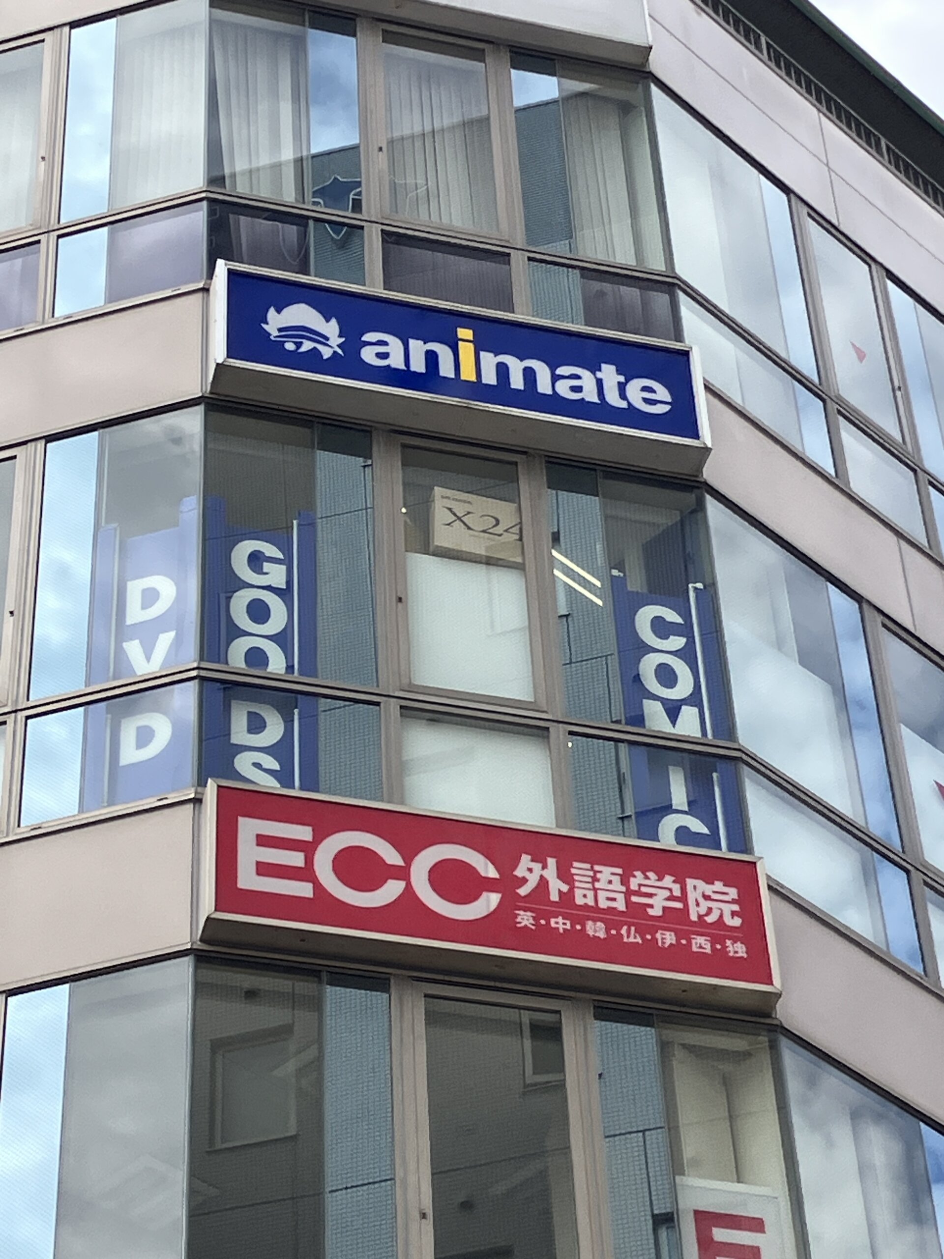 animate Yokkaichi