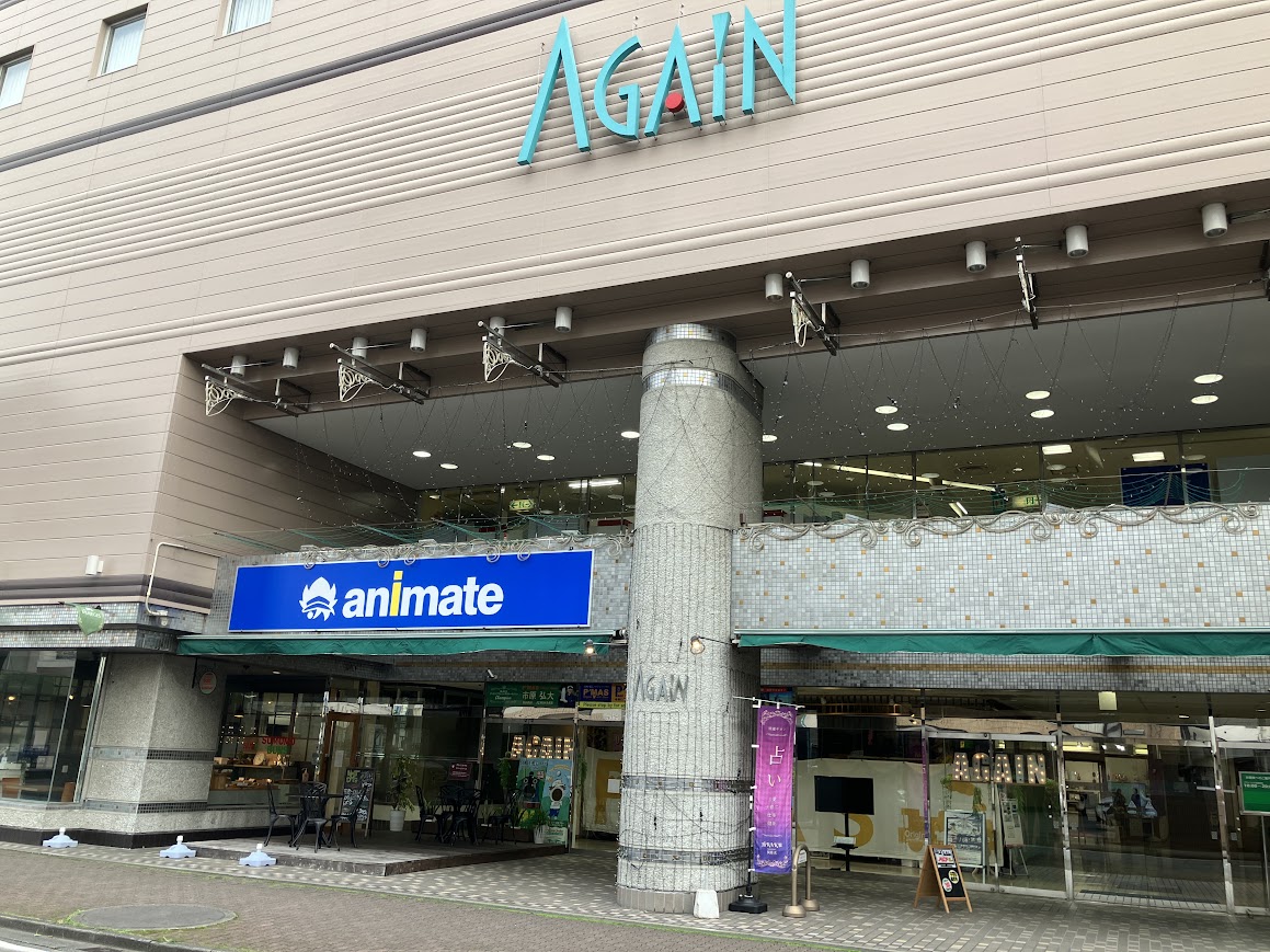 animate Miyazaki