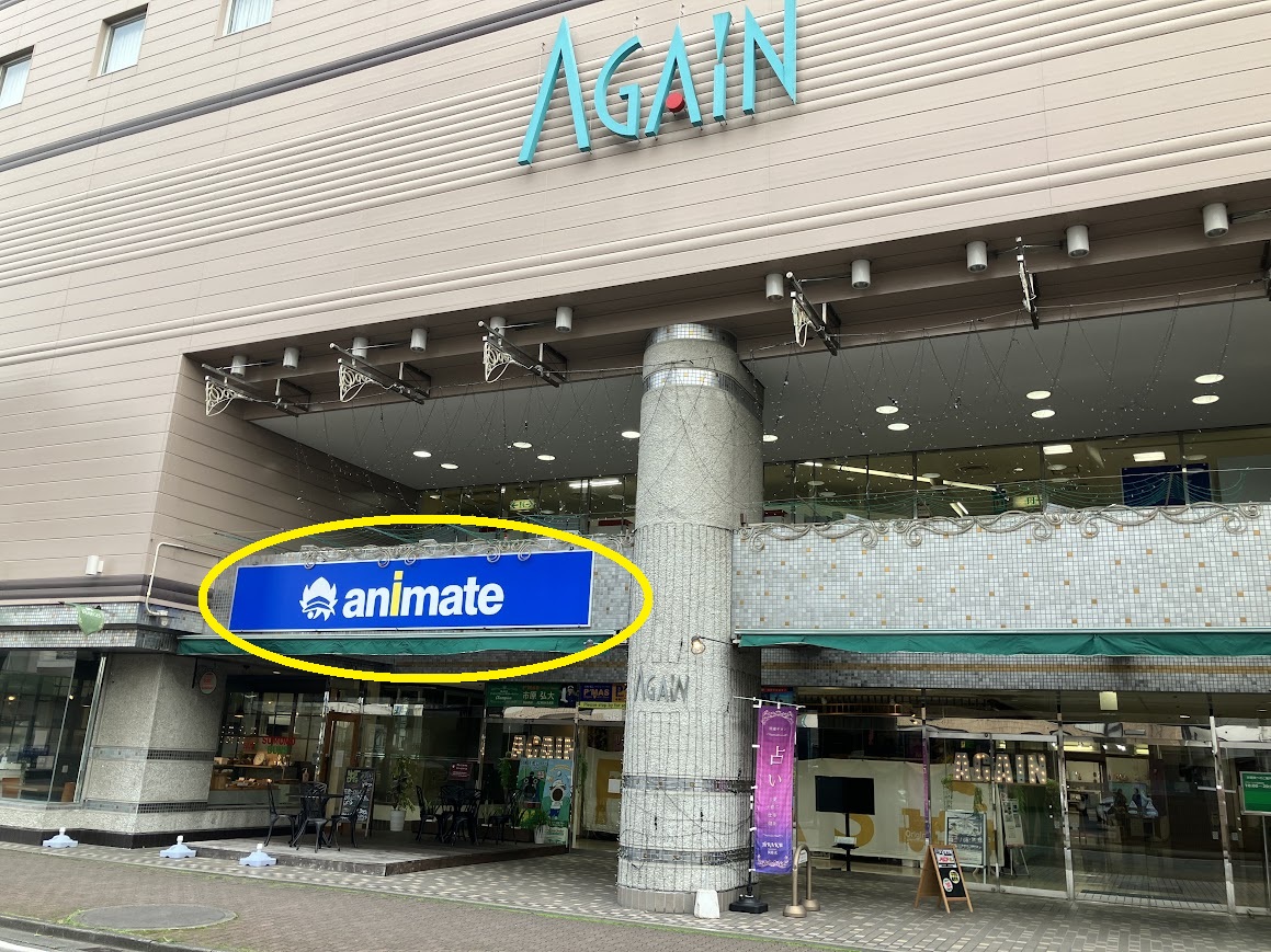 animate Miyazaki