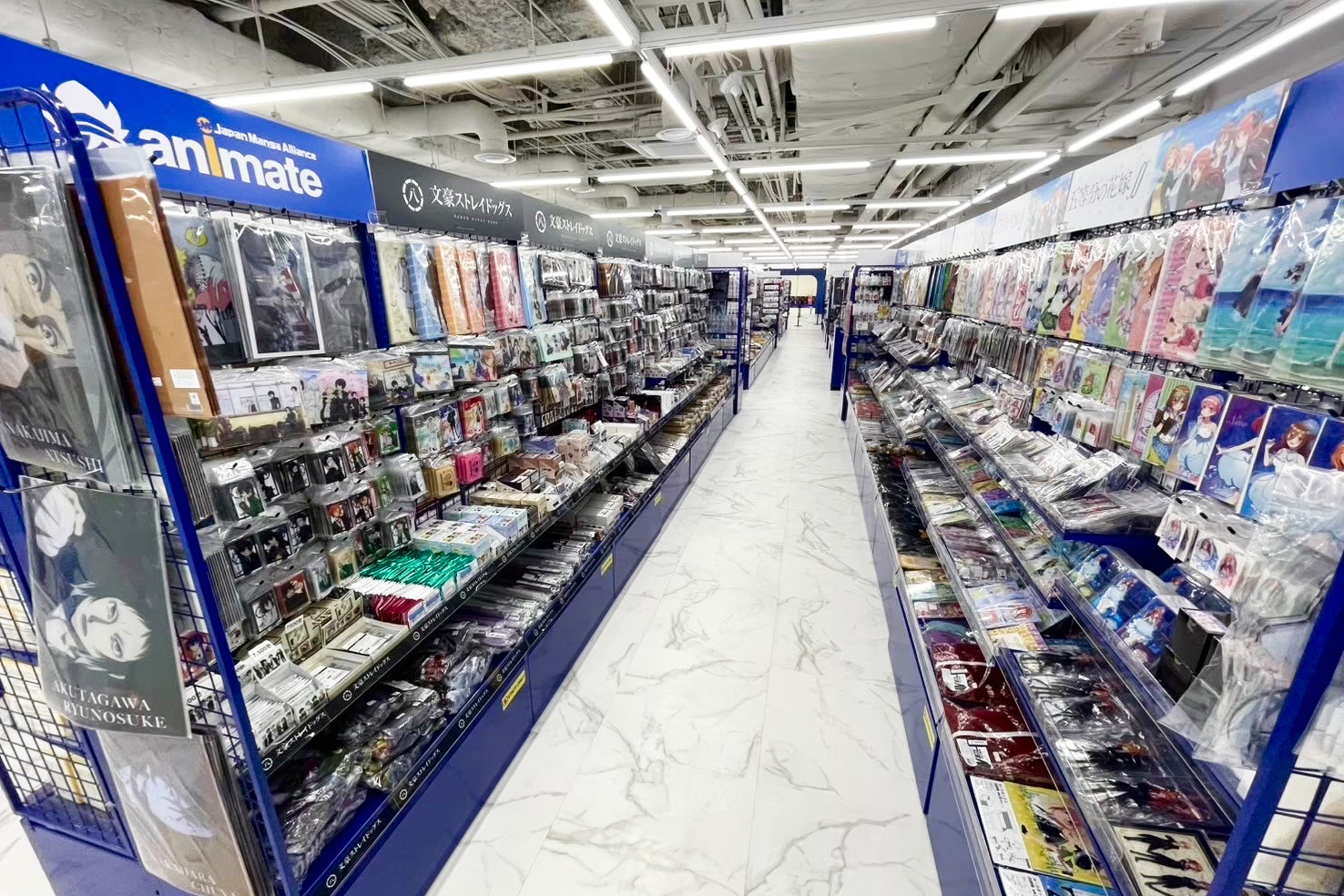 animate Jamsil Lotte