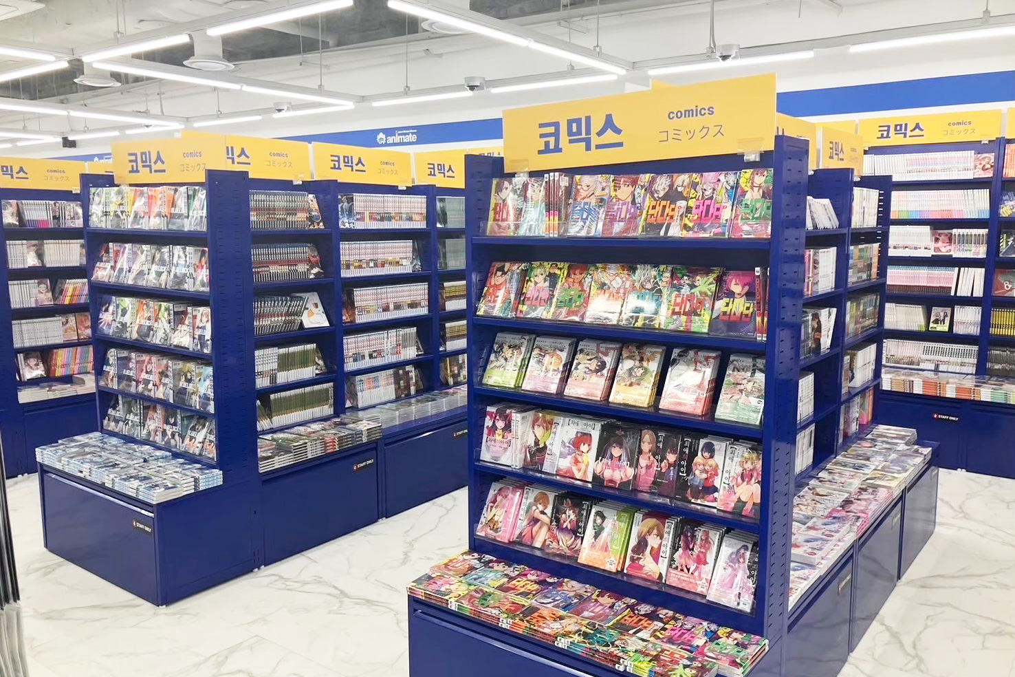 animate Jamsil Lotte