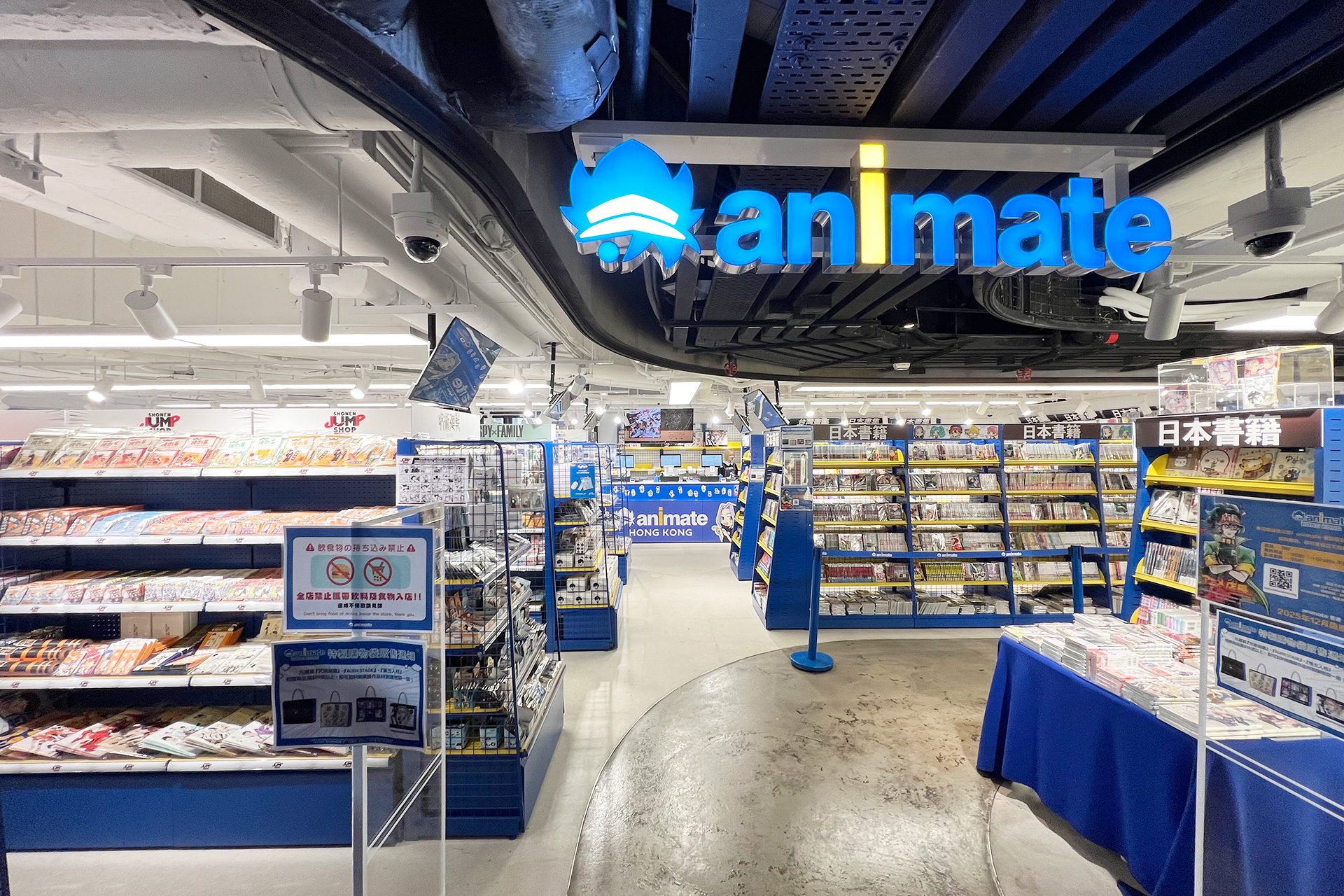 animate香港