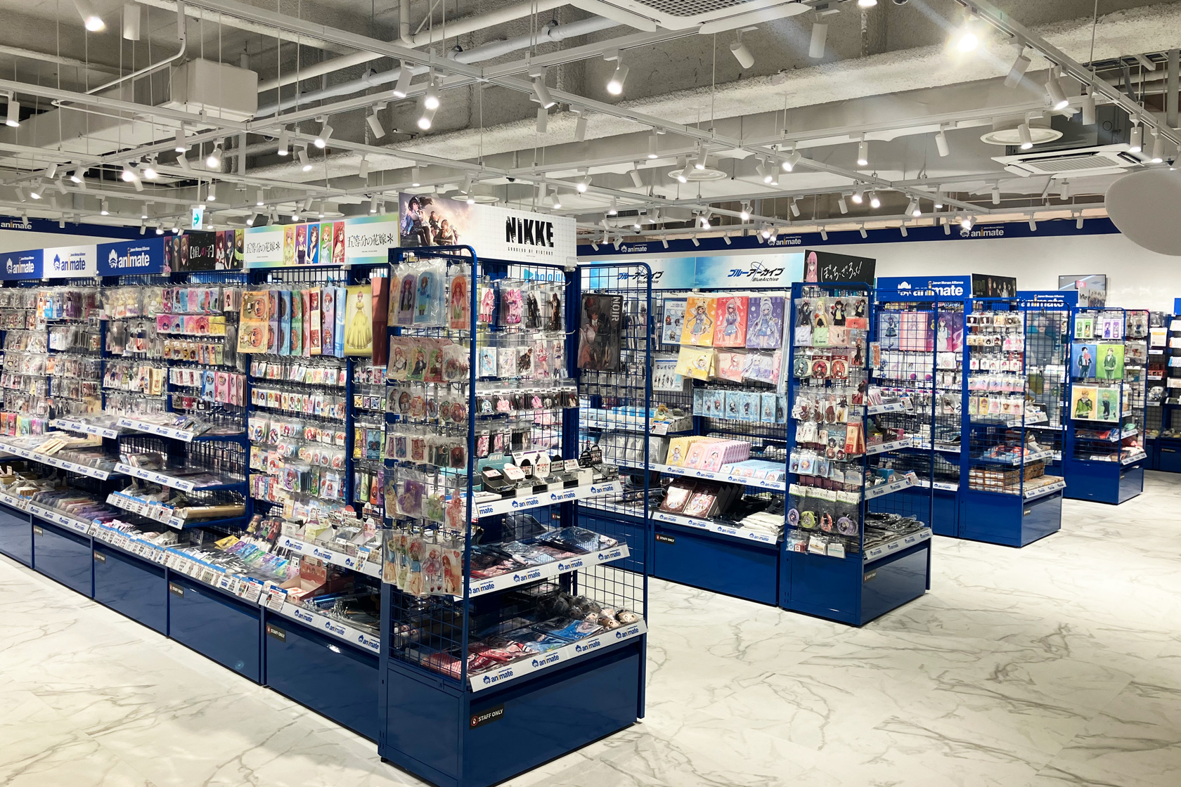 animate水原